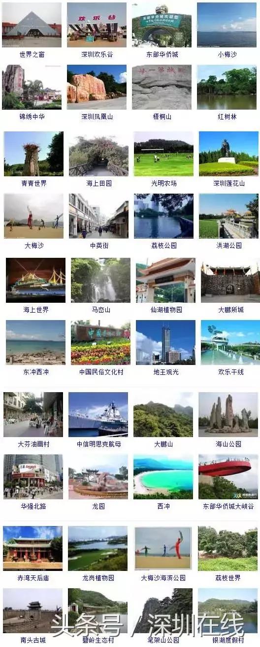 我叫深圳，这是我最新的名片，请多关照！