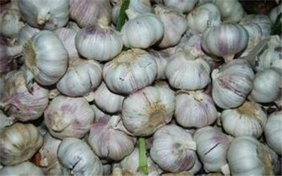 剥大蒜最简单的方法是什么,巧剥蒜皮图解