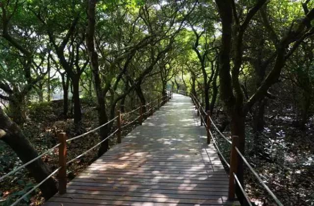 文昌是个什么样的地方,文昌有哪些自然风光特点