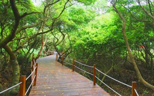 文昌是个什么样的地方,文昌有哪些自然风光特点