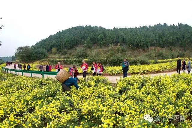 去金堂玉皇山养生谷耍一耍,金堂玉皇山一日游最佳路线