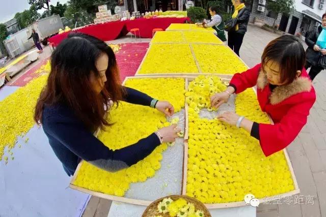 去金堂玉皇山养生谷耍一耍,金堂玉皇山一日游最佳路线