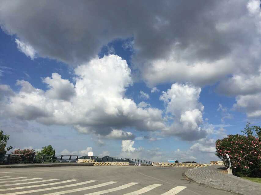 Fight肿瘤君之闯关——血刃肿瘤君！