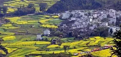 网络上的南昌人,江西南昌人性格