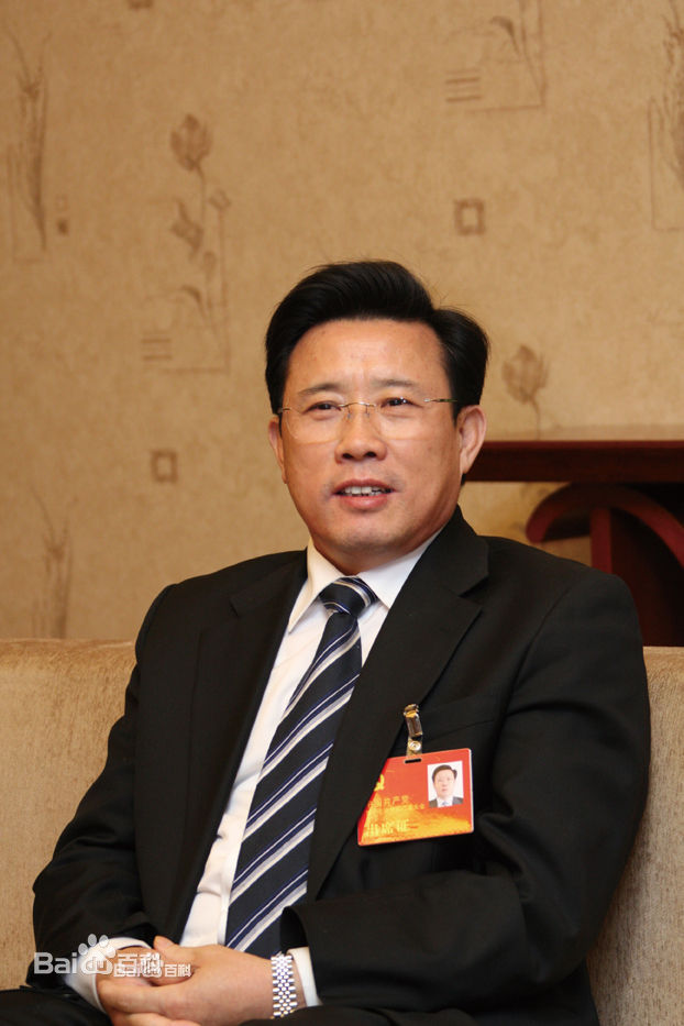 中国各省首富2016排行榜,各年中国首富排名