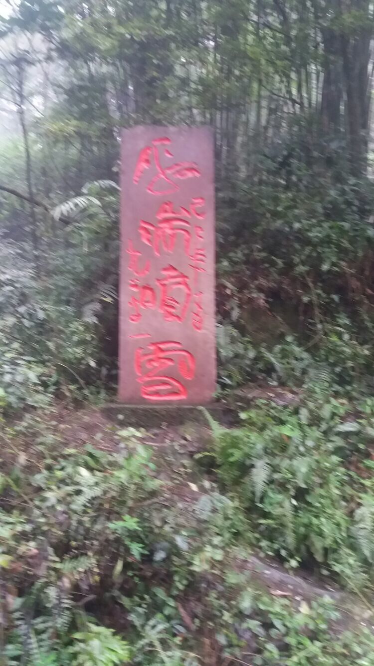 四大佛教名山四川峨眉山介绍,峨眉山