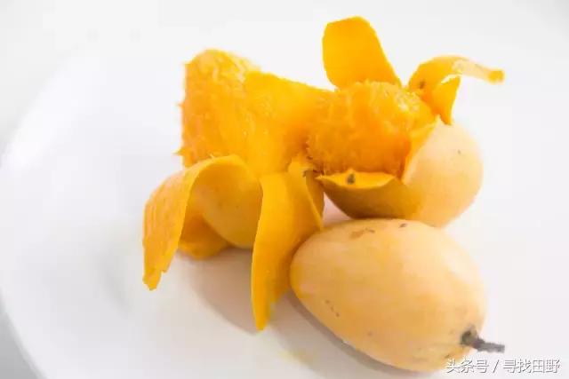芒果哪个品种最正宗最好吃,各类芒果测评