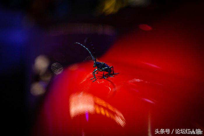 法拉利488评测重装上阵,法拉利488拆车视频