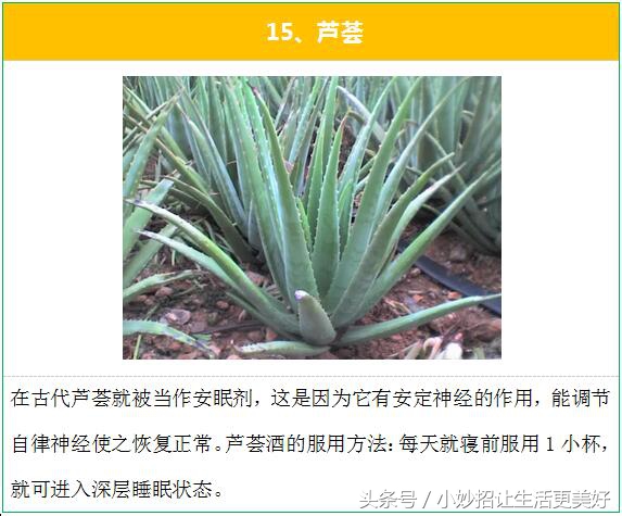 失眠多梦怎么办？民间治疗失眠的最有效的15个偏方秘方！