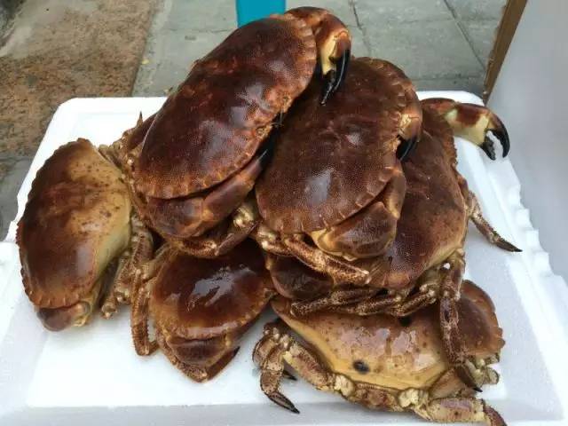 鲍鱼大虾海鲜火锅,一虾一蟹49元海鲜自助火锅