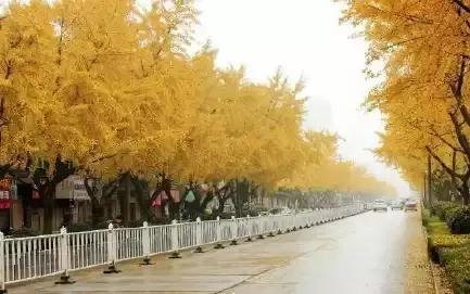 满城尽带黄金甲京剧,满城尽带黄金甲由什么改编