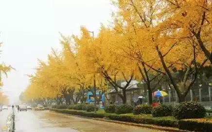 满城尽带黄金甲京剧,满城尽带黄金甲由什么改编