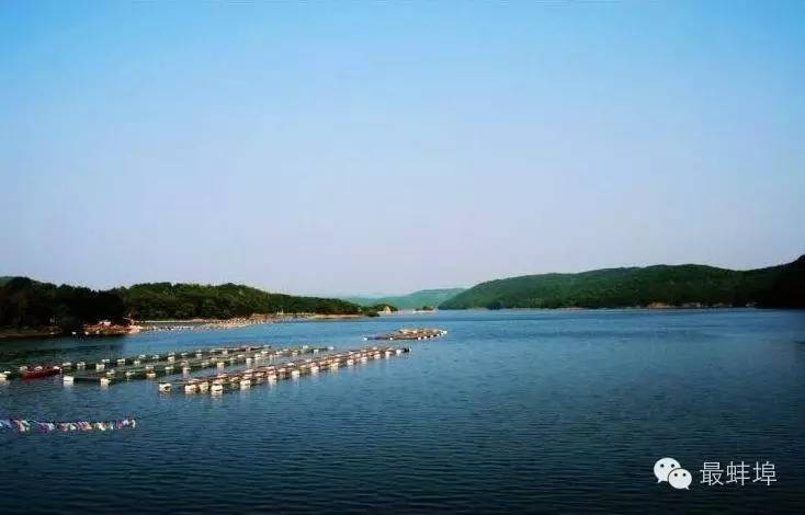 蚌埠市三县四区排名,蚌埠三大县