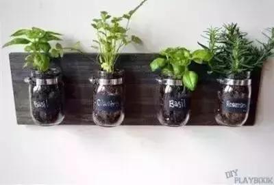 老干妈瓶子可以干什么用,如何利用老干妈瓶子