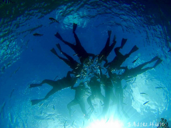 帕劳世界七大海底奇观,帕劳夕阳奇观图片