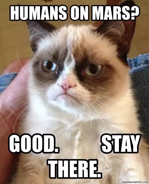 11.11剁手攻略,11.11剁手指南