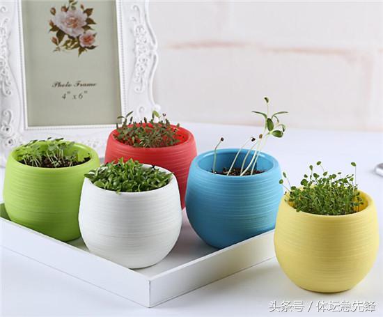 如此美好的周末,这样的周末时光比什么都珍贵