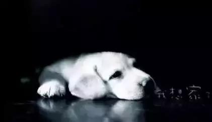 网络上的南昌人,江西南昌人性格