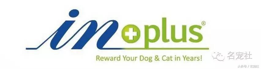 国内知名金毛犬舍有哪些品牌,有哪些犬舍主卖纯种金毛幼犬