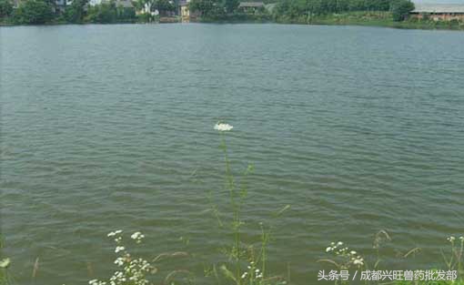 病毒疾病和细菌疾病区别,细菌性和病毒性症状怎么区别