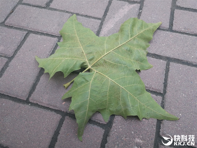 外媒评测华为mate9,华为mate9测评王者荣耀