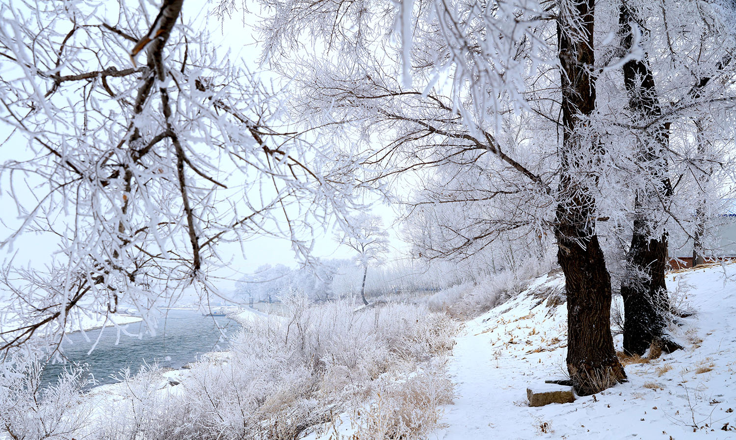 唐朝时候北极冰盖情况,大漠的雾凇形成原因