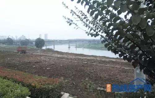 实力爆满却是捧不热的配角！幸福湾如何导演解放大道？|看房情报