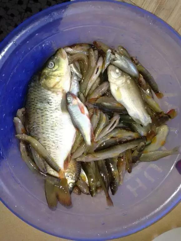 东北农村即将消失的野味，秒杀5星级大酒店，你吃过几个？