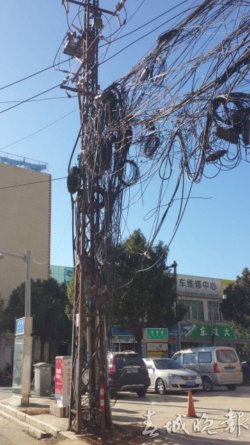 辣眼睛还怕伤人！谁来管管这些“蜘蛛网”“绊马绳”