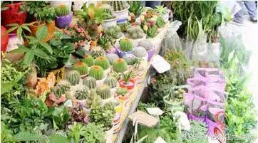 苏州平江路网红打卡地,苏州十大名街