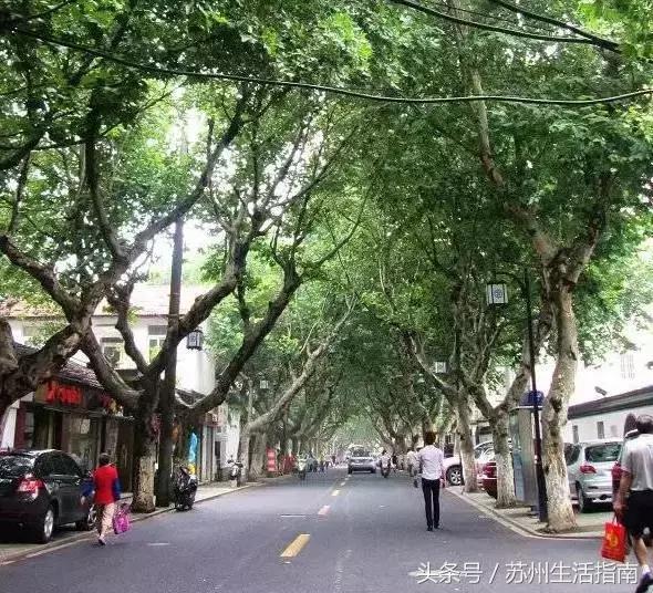 苏州平江路网红打卡地,苏州十大名街