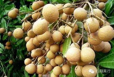 带你吃遍云霄美食,舌尖上的云霄