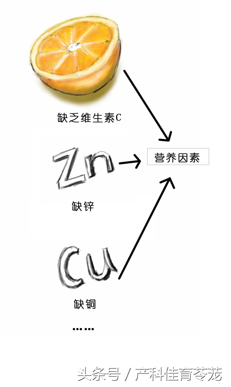 破水了,害怕吗?产科医生教您这样应对