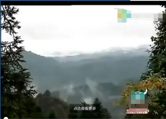 在破落家里,小海萱是朵美丽的坚强花