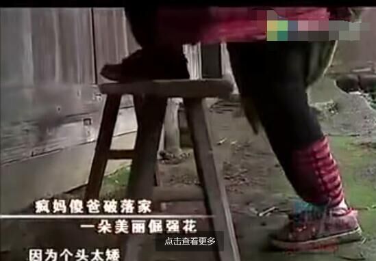 在破落家里,小海萱是朵美丽的坚强花