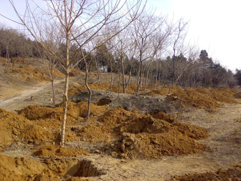 摸金校尉盗墓被发现事件,摸金校尉5年连盗6座古塔地宫