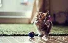 怎么吸引读者兴趣,开篇吸引读者