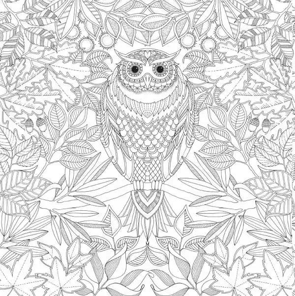 凭本264字成人图书却“莫名其妙”风靡了全球！狂销300万册