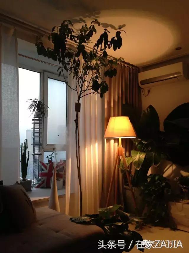 客厅主灯属于软装吗,客厅有无主灯的优缺点