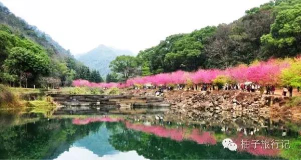 福州附近旅游全攻略,福州旅行攻略完整版