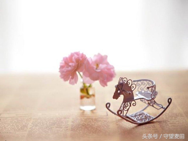 梦里花落知多少全文,梦里花落知多少