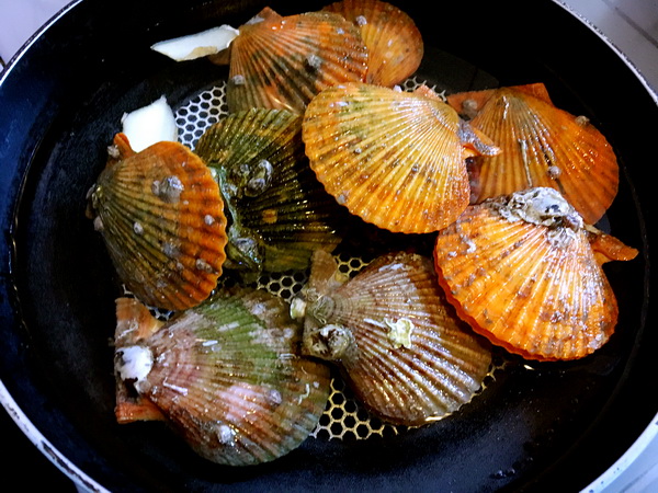 爱秀食堂-甘树子蒸石斑鱼奶香焗扇贝