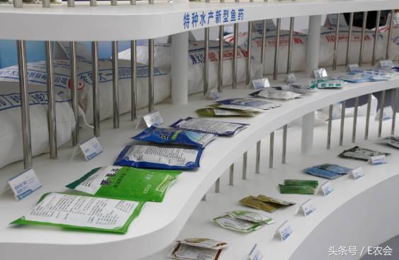 厉害了word村!蕲春淘宝村全国第四!