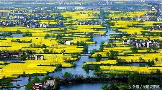 安徽芜湖最富的县,芜湖最发达的市区是在哪个区