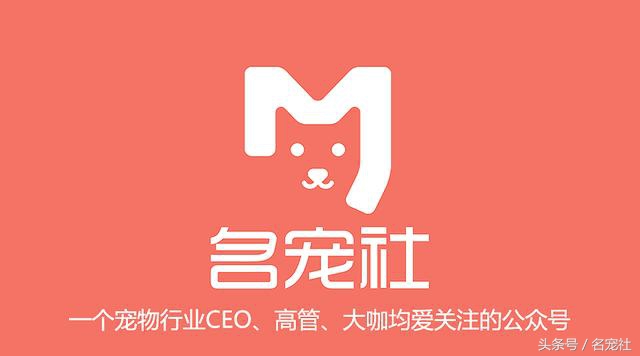 国内知名金毛犬舍有哪些品牌,有哪些犬舍主卖纯种金毛幼犬