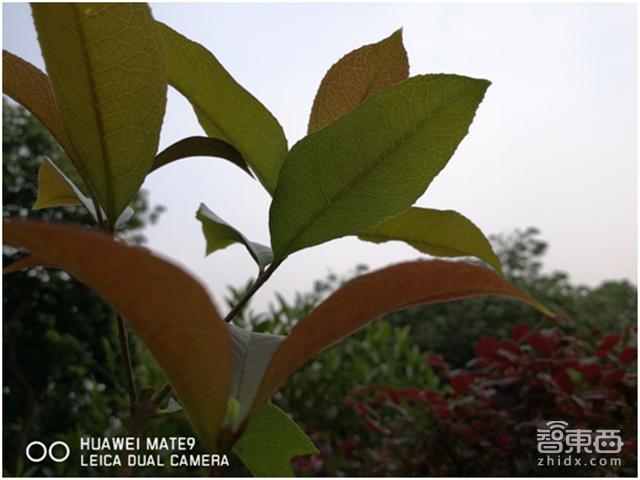 华为mate9徕卡发布会,华为mate9是徕卡吗