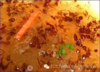 泰可怕这个居然也能吃？