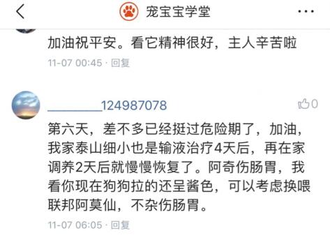 狗狗犬瘟热8天了,狗狗犬瘟热治疗已经20天了