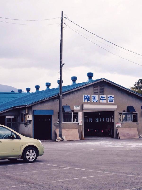 吃遍日本寿司,吃遍日本美食视频