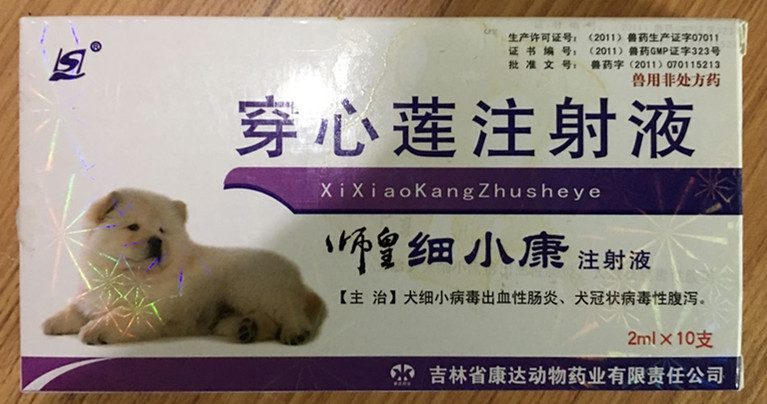 狗狗犬瘟热8天了,狗狗犬瘟热治疗已经20天了